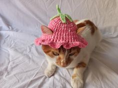 a cat wearing a pink crocheted hat with a strawberry on top