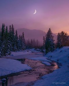 the moon is setting over a snowy mountain stream with trees in the foreground and snow on the ground