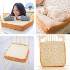 there are pictures of bread and a cat