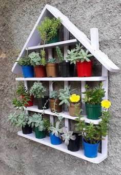 a house shaped shelf filled with potted plants