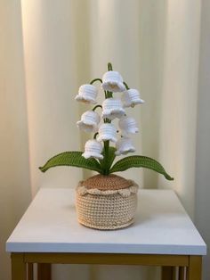 a crocheted potted plant with white flowers on a table in front of a curtain