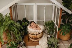 a baby is sitting in a wooden bucket surrounded by greenery and potted plants