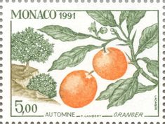 a stamp with two oranges on it and some green leaves around the bottom half