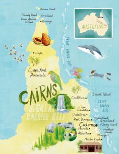 an illustrated map of australia with birds, dolphins and other things to see on it