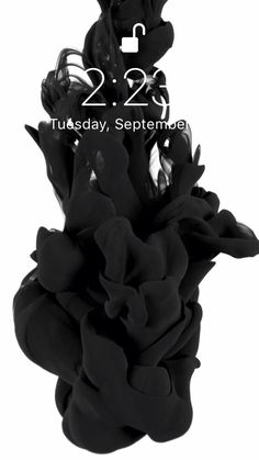 a cell phone with black flowers in the back ground and text that reads 2 22