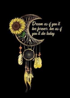 a sunflower and dream catcher with the words dream as if you'll live forever, like as if you'll die today