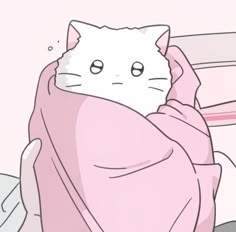 a white cat wrapped in a pink blanket