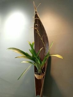 a wooden boat with plants in it hanging on the wall