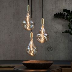 three light bulbs are hanging from the ceiling in front of a wooden bowl and plant