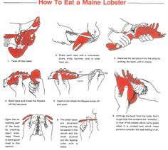 instructions on how to eat a maine lobster in 3 easy steps with pictures for each step