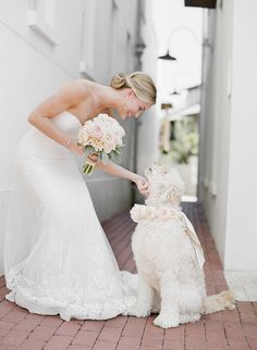 a woman in a wedding dress petting a dog