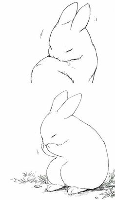 a black and white drawing of two rabbits sitting next to each other on the ground