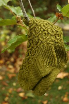 a pair of green knitted mitts hanging from a tree branch