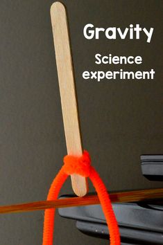 a wooden stick sticking out of the ground with an orange string attached to it and text overlay that reads gravity science experiment