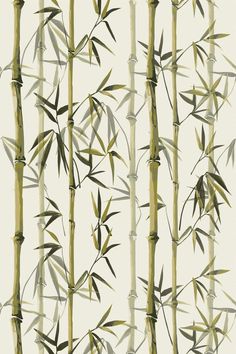 an image of a bamboo tree pattern