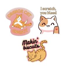 three stickers with cats on them and one saying orange cat energy, you bleed