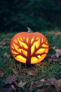 a carved pumpkin with a tree on it sitting in the grass next to some leaves