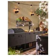 an outdoor kitchen with potted plants on the counter and lights hanging from the ceiling