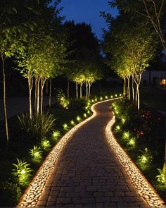 a pathway lit up with lights between trees