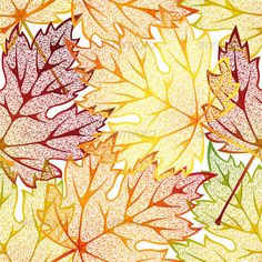 colorful autumn leaves on white background