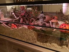 a fish tank filled with lots of fake pumpkins and other items in it's display case