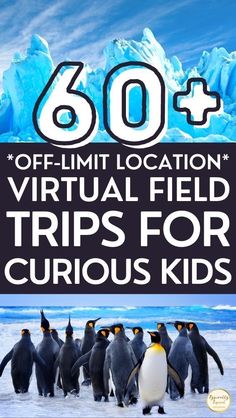 penguins and penguins with text overlay that reads 60 off - limit location virtual field trips for curious kids