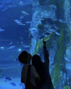 two people looking at fish in an aquarium