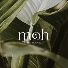 the words moh are written in white on a green background with leaves and foliage