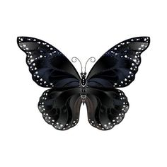 a black butterfly with white dots on its wings