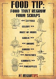 an old poster with the words food tip on it and pictures of vegetables in different languages