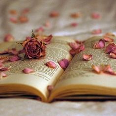 an open book with rose petals on it sitting on a bed covered in pink petals