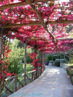 the walkway is covered with pink flowers and greenery