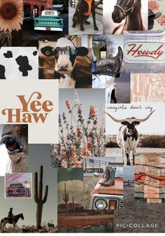 a collage of pictures with animals and words