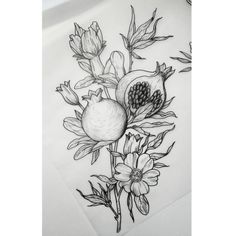 a black and white drawing of flowers on a piece of paper with pencil in it