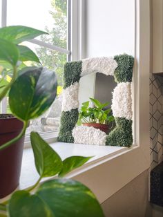 a potted plant sitting on top of a window sill next to a mirror