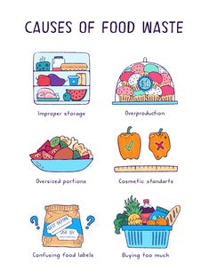 an image of food items that are labeled in the words'cause of food waste '