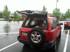 a dog sitting in the passenger seat of a red car on a wet parking lot