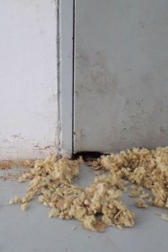 a bunch of food that is sitting on the ground next to a white refrigerator door