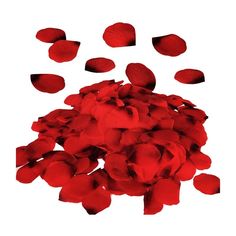 red petals scattered on white background