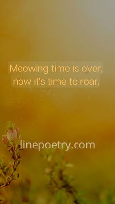 a flower with the words meowing time is over, now it's time to roar