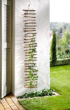 a screen shot of an instagramted photo of a house with vines growing on the wall