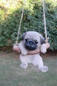 a small pug dog sitting on a wooden swing