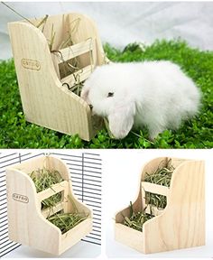 a small white rabbit in a wooden toy car with grass inside and another photo of it's interior