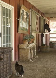 a horse is standing in the stable with its head down and another cat sitting on the floor