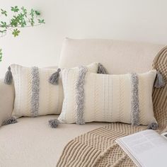 two pillows on a couch with a book and plant in the corner next to it