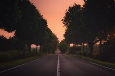 an empty road with trees on both sides at sunset or dawn in the country side