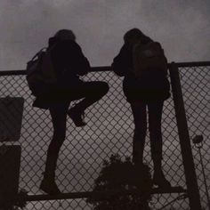 two people standing on top of a fence with their back to the camera looking at something