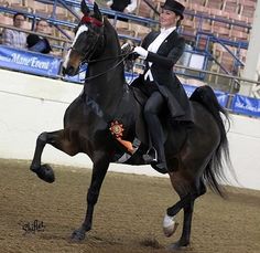 a woman riding on the back of a black horse in an arena with people watching