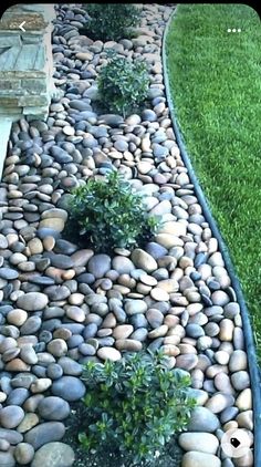 a garden path made out of rocks and grass