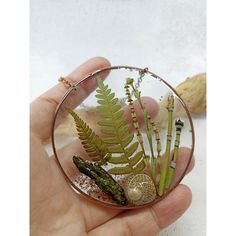 a hand holding a glass ornament with plants in it